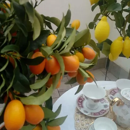 Piccola Dimora Con Terrazzina