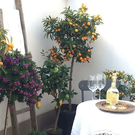Piccola Dimora Con Terrazzina Lecce